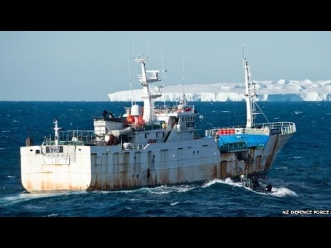 how to become a fisheries officer nz