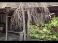 動画【YouTube】ブログへの貼付手順