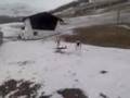 Playing in the snow with only shorts