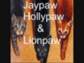 Jay Feather
