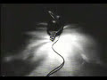 David Lee Roth - \"Sensible Shoes\" 1991 David Lee Roth - \"Sensible Shoes\" 1991