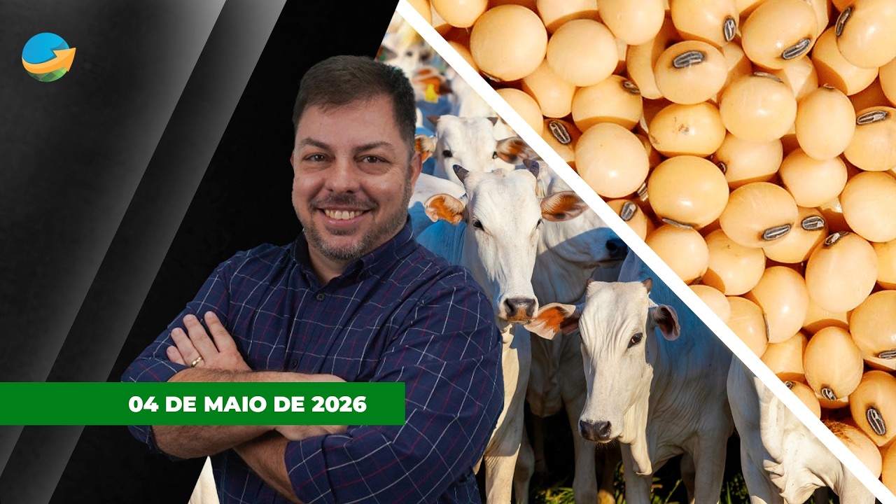 Maio começa com pressão sobre arroba do boi e altas de quase 20 pontos para soja em Chicago