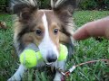Willow Playing w/ Toys Outside - 12/3/2008
