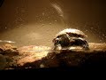 Red Eared Slider confused... #1 Red Eared Slider confused... #1