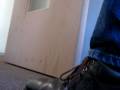 Dog-s-Eye-View-of-Su