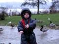 videos de Babyzeichen für Brot