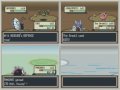 Let-s-race-pokemon-L