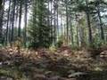 Krania-Grevenon-TEI-