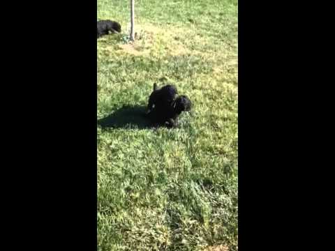 Ben and his sister playing