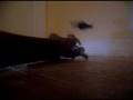 l s b d episde 255 seaon 5 episode 5
