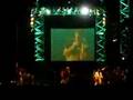 Virus - Amor descartable (en vivo en la Costanera)