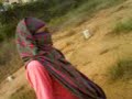 baiduri awam (meriam)