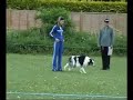 Dog Obedience - Retrieve Exercise Dog Obedience - Retrieve Exercise