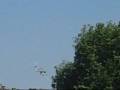 B - 25 RedBull in Golden Horn (Halic)