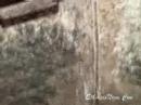 ethiopianizm com yehamle zinab