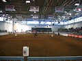 FIERA CAVALLI VERONA