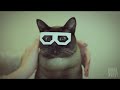 Dubstep Cat (stereo skifcha)
