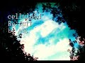 celluloid?full????????? celluloid?full?????????