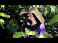 Song A Day #891: Zen Maru The Cat Song