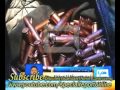 HEAVY FIRING ON ARRIVAL OF PPP PRESIDENT PUNJAB