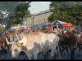 Georgetown, Texas Cattle Drive: A TexasTripper Slideshow