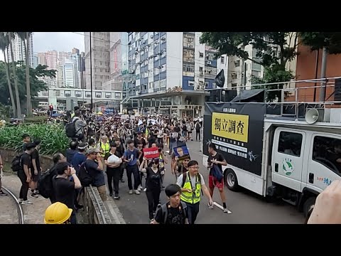 動画