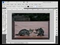 controlar el tamaño de impresion en formato panoramico con photoshop por www.videotutoriales.es