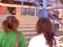 persiguiendo a las palomas