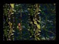 Donkey Kong 2 - #22 - Bramble Scramble