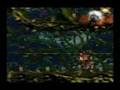 Donkey Kong 2 - #22 - Bramble Scramble