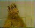 ALF - Scream