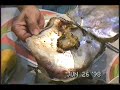 19980626: Lunch and Dinner, Jaro With Tio Leoncio, Bay-ad 19980626: Lunch and Dinner, Jaro With Tio Leoncio, Bay-ad