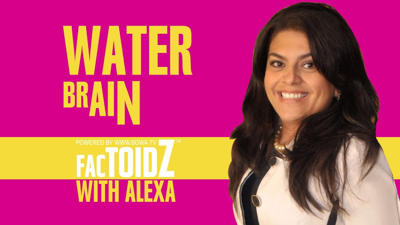 Water Brain