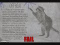 THE BEST OF FAIL BLOG #3