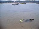 DICHATO APNEA CHICHO DICHATO APNEA CHICHO