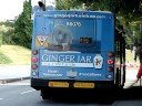 TransLink R8078 - Whistling TransLink R8078 - Whistling