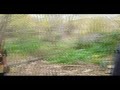 The Royal War Trailer
