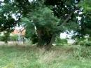 360° Emplacement Maison