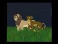 videos de Animation Practice