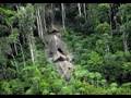 La Tribu Perdida en las Amazonas