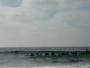 Surf Board Walking Surf Board Walking
