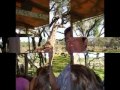 Florida Vacation 2006 - Dreams Come True