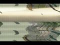videos de SMBU