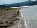 Donna paseando por (la orilla del) pantano de Boadella