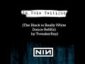 Nine Inch Nails - In This Twilight (The Black Is Really White Dance ReMix by TweakerRay)