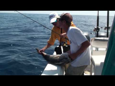 saragosa - fishing in SC Twinster boat charter.