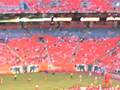 Miami Dolphins Pre-Season Game (Dolphins vs Chiefs)