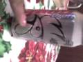 videos de albertoasu tomando y fondo a la cerveza gallito caliente y agria