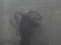 graffitis siter,harof,duer y komak