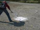 Bottle explosion
